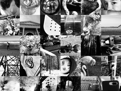 Noir black and white photography black and white photos nature photography photography photos