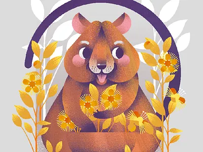 Quokka illustration illustrator kidlit kidlitart vector illustration
