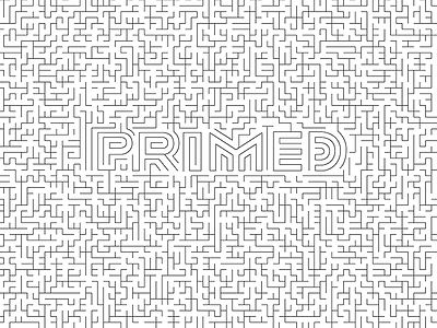 P R I M E D black and white hidden letterforms maze primed puzzle riggs partners solution south carolina