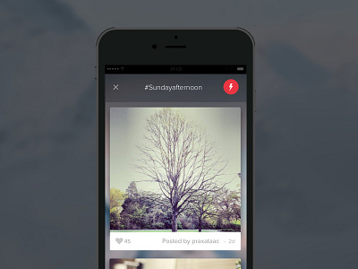 Screens for a social media app ios