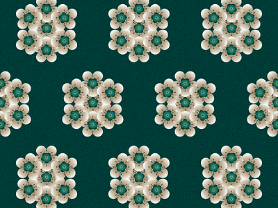 Waxflowers flower flowers pattern waxflowers