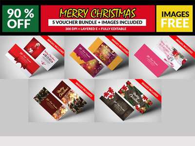 5 Christmas Gift Voucher Bundle 5 christmas gift voucher bundle agency blue business business corporate agency flyer business flyer clean company