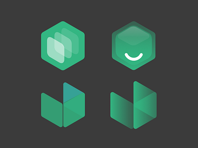 Xiaolu - Logo Graphic icon logo