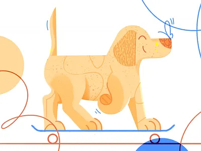 Skating doggo dog doggo goodvibes labrador puppy skating yearofthedog