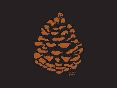 Pine cone camp outdoors pine pine cone pine tree rust tree wild wilderness