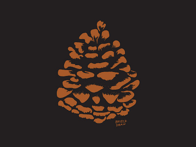 Pine cone camp outdoors pine pine cone pine tree rust tree wild wilderness