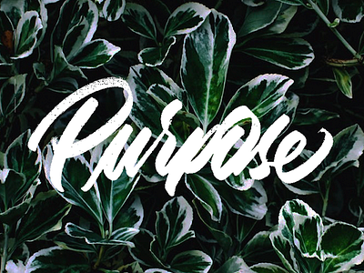 Purpose illustration illustrator lettering logo photoshop
