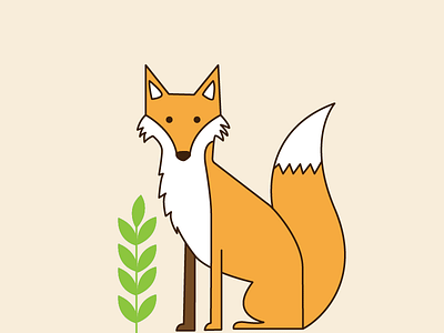 Fox 100daychallenge