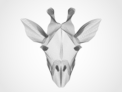 X-ray Giraffe animal face giraffe grayscale illustration lines wireframe x ray