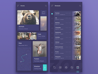app zoo animals app application appzoo design lobby mobile shedule ui zoo