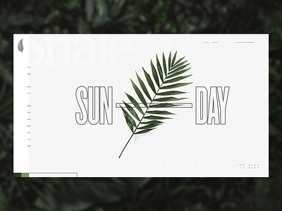 Palm Sunday design grid image minimal palm type