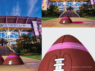 Landmark Advertising concept for Mammograms advertising browns campaign cleveland cleveland browns digital banner digital marketing football hospital landmark landmark advertising mammograms nfl web banner