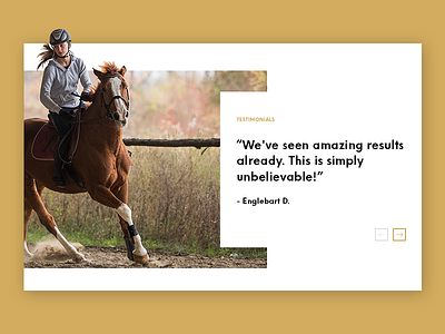 Testimonials horse testimonial ui website