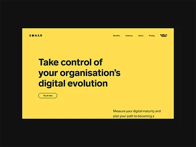 Sonar (Brilliant Noise) brilliant noise design desktop minimal typography website