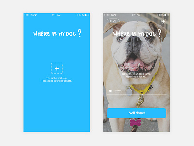 Where is my dog? app button colors form input mobile photo ui ux
