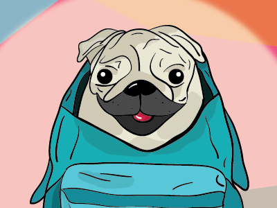 Pug dog illustration pug sketch