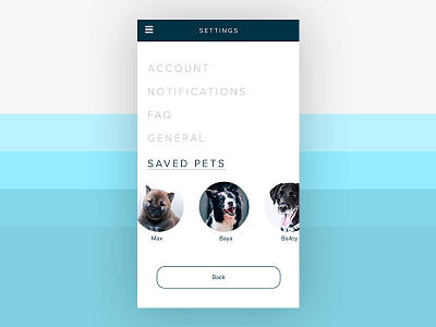 Daily UI - Settings dailyui graphicdesign ui uichallenge uidesign