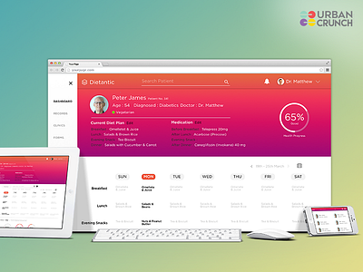 Dietantic web App doctor illustrator interactive design medical photoshop responsive sketch ui ux