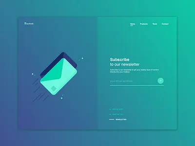Bochnik Newsletter gradient newsletter ui ux