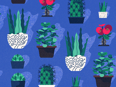 Plants greens office plants succulent