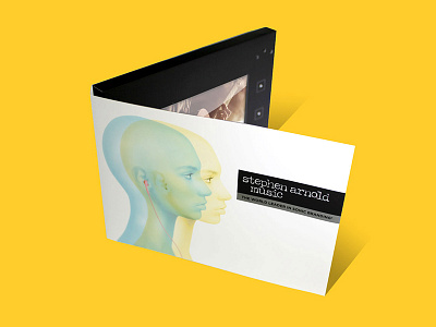 Stephen Arnold Music Video Brochure mailer packaging template video brochure