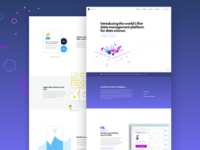 Immuta Website animation clean data minimal motion website