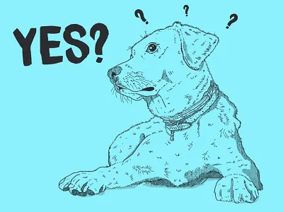 Dog best friend blue green call confused design dog illustration question mark rest yes