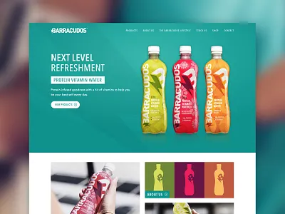 Barracudos Website Design sketchapp website