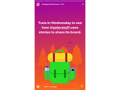 Instagram for Business - Stories Campaign