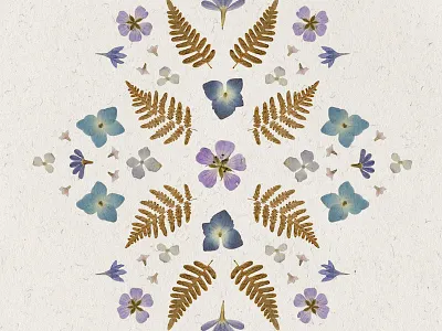 Pressed Posies botanical flowers pattern pressed