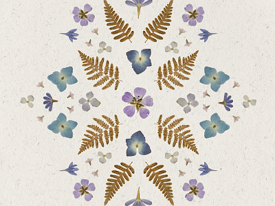 Pressed Posies botanical flowers pattern pressed