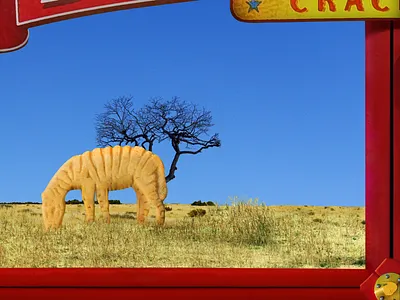 Zebra Cookie africa animal cookie cracker photoshop series zebra