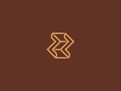 Studying the letter Z detail home decor logo logotype space