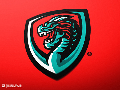 Chinese Dragon Mascot Logo chinese dragon design dragon dragons esports gaming illustration japanese dragon logo sports sports logo