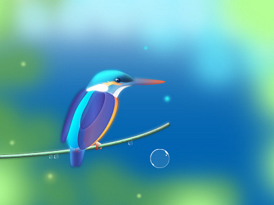 Kingfisher after rain flowing illustration kingfisher