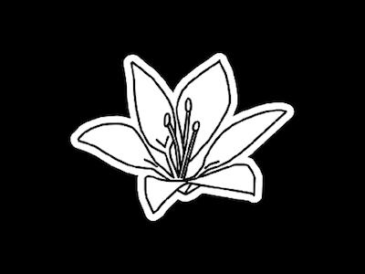 Flowers flowers