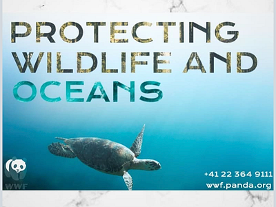 Social Cause addy animals oceans panda turtle wildlife wwf