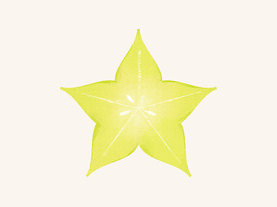 Star Fruit exotic fruit illustration photoshop