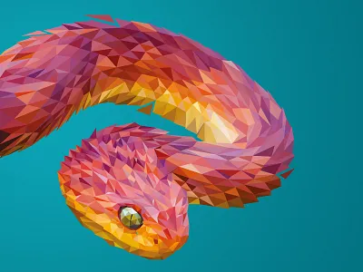 Snake | LowPoly Illustration animal geometric illustration jungle lowpoly modern polygon schlange simple snake triangle vector