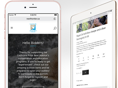 Auction System for the Polar Bear Habitat auction bear freelance home page polar system uiux web design web site