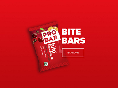 PROBAR Explore products bold color design food mobile redesign ui ux visual visual design web web design