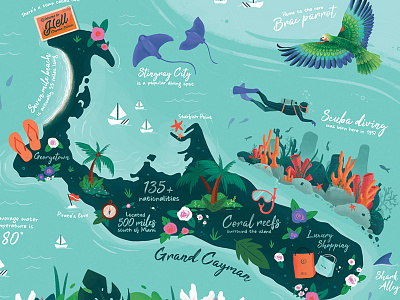Cayman Islands animals cayman editorial illustration islands map reef scuba travel tropical