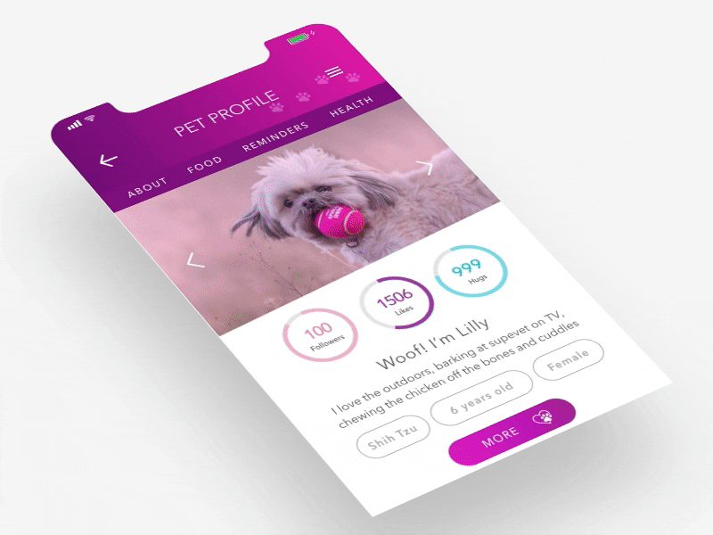 Daily UI #006 - Profile 006 animatedgif dailyui dailyui006 dailyuichallenge flinto petprofile profile ui