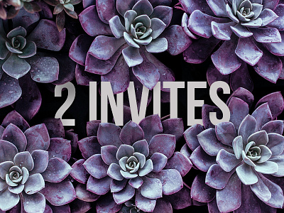 Dribbble Invites dribbble giveaway invite invites two invites