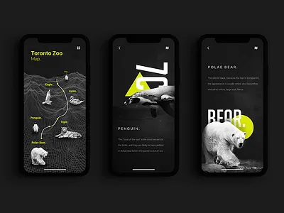 Zoo2 800x600 animal app bear dark map tiger ui ux zoo