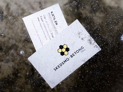 Buisness Card branding business card identitydesign logodesign