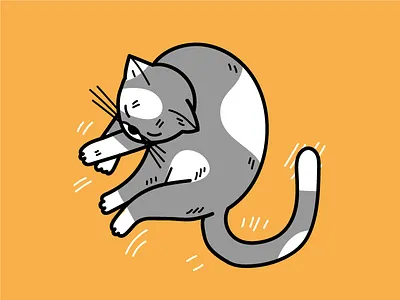 Kitty Cat cat cozy cute kitten kitty rest weekend