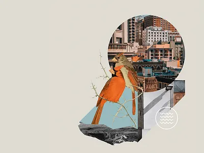 City Birds birds city collage