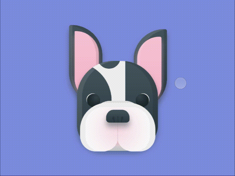 Funny dog cute dog dynamic effect funny gif principle sketch