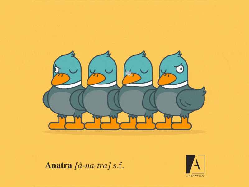 Sleeping Ducks animal animals cute duck ducks friends relax sleep sleeping sweet